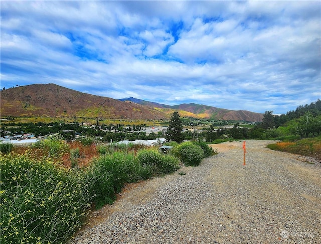 309 Kennedy Rd, Cashmere, WA 98815 - photo 5
