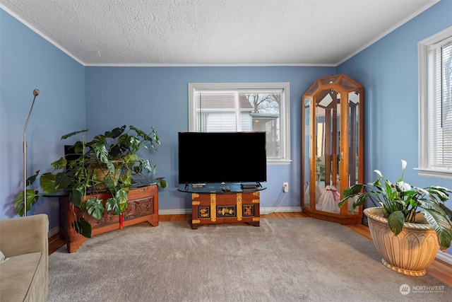 living room with a wealth of natural light, a textured ceiling, and ornamental molding