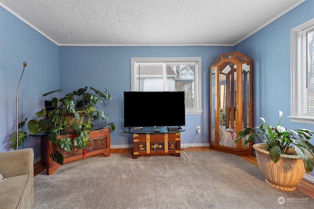 310 W 3rd Ave, Ritzville, WA 99169 - carpeted living area featuring plenty of natural light, baseboards, ornamental molding, and a textured ceiling