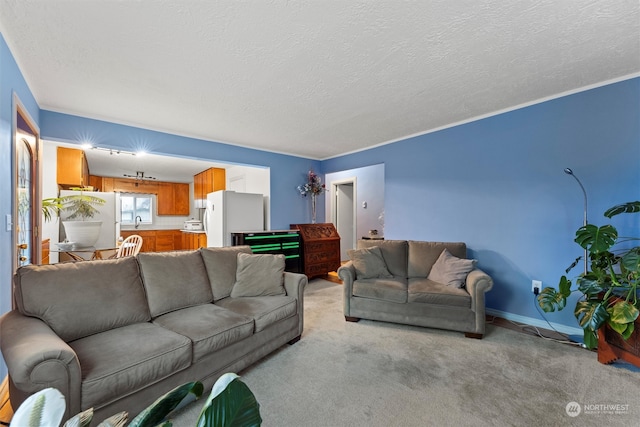 carpeted living room with sink, a textured ceiling, and billiards