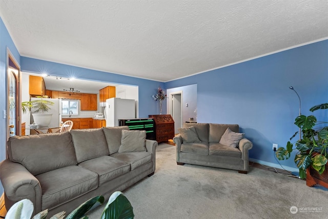 310 W 3rd Ave, Ritzville, WA 99169 - living room with light colored carpet and a textured ceiling