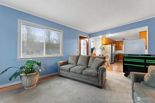 living room with crown molding, light hardwood / wood-style floors, and a textured ceiling