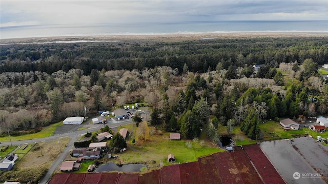 aerial view featuring a water view and a forest view