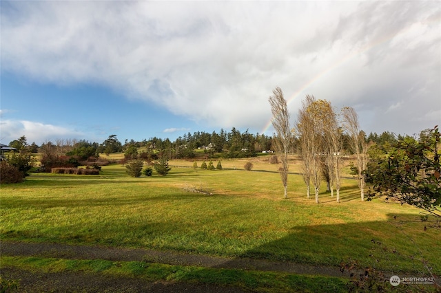 view of yard featuring a rural view