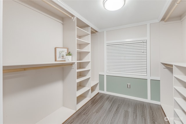 spacious closet with wood-type flooring