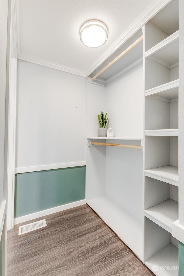 walk in closet with wood-type flooring