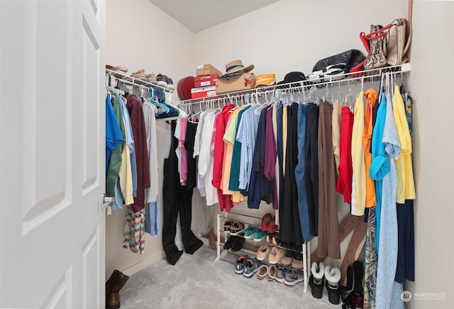 spacious closet featuring carpet floors