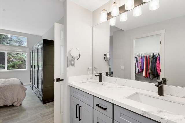 bathroom featuring hardwood / wood-style floors and vanity