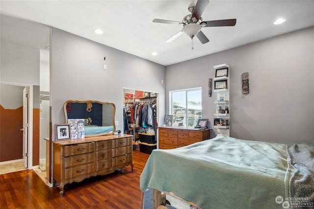 bedroom featuring ceiling fan, dark hardwood / wood-style flooring, a walk in closet, and a closet