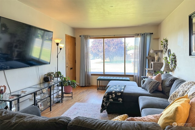 living room featuring light wood-type flooring