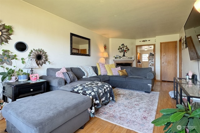 living room with light hardwood / wood-style floors