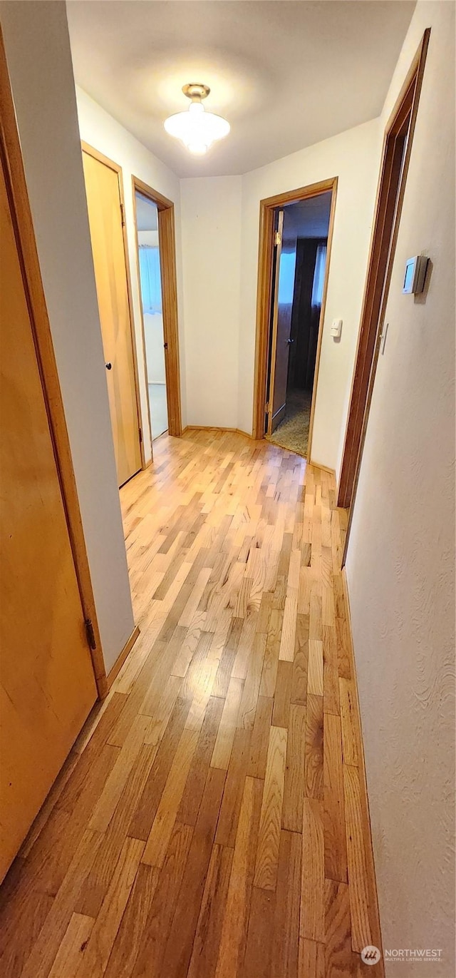 corridor with light wood-type flooring