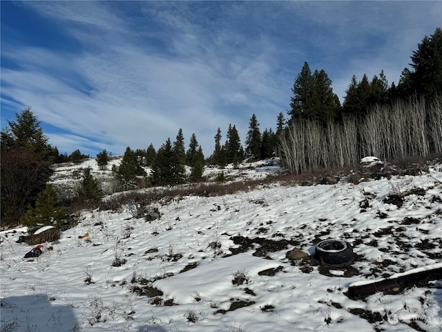 view of snow covered land