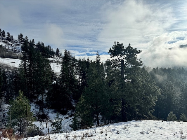 view of snow covered land