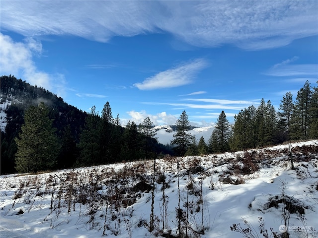 view of mountain feature