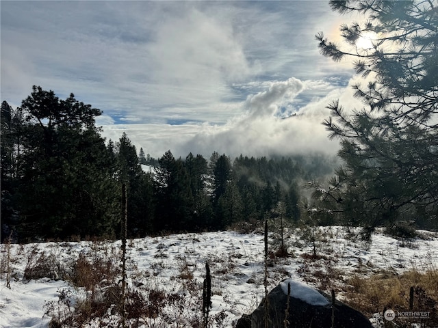 view of snowy landscape