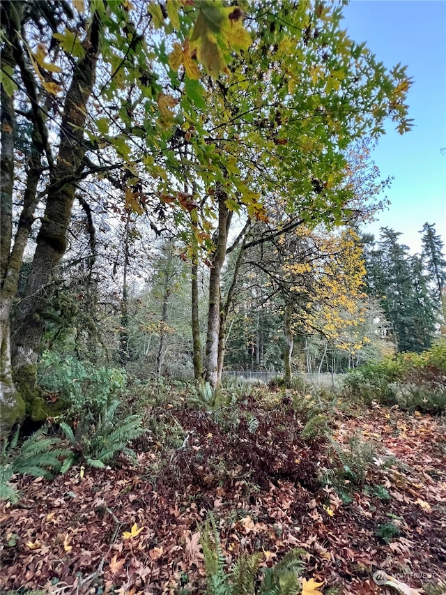 7569 E Montana St, Port Orchard, WA 98366 - photo 4