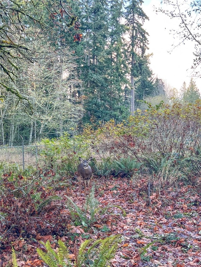 7569 E Montana St, Port Orchard, WA 98366 - photo 5