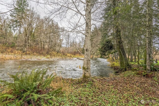 423 W Haven Dr, Elma, WA 98541 - photo 6