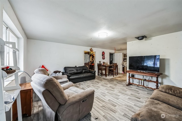 living room featuring light hardwood / wood-style floors