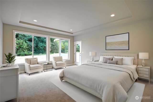 bedroom with light carpet and a tray ceiling