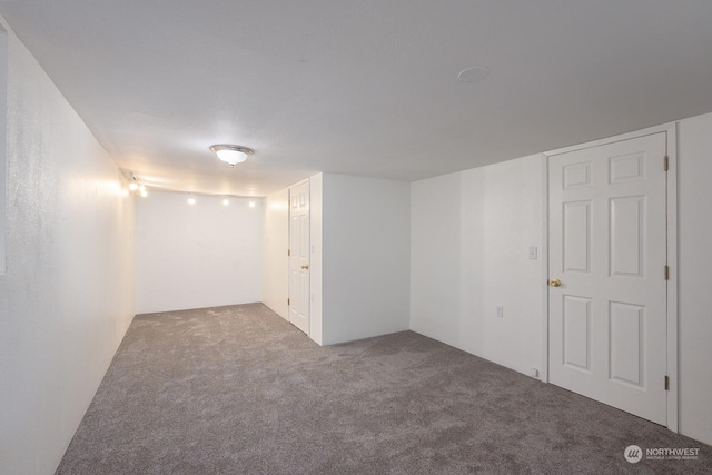 basement with carpet flooring