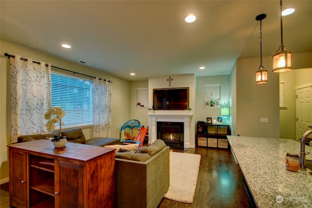 living room featuring dark hardwood / wood-style flooring