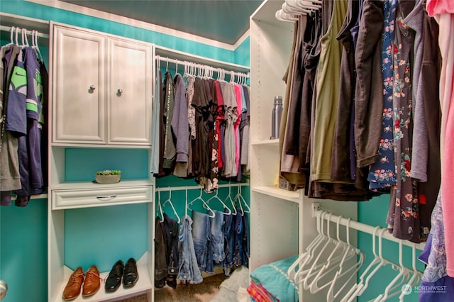 view of spacious closet