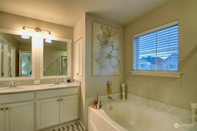 bathroom featuring a bath and vanity