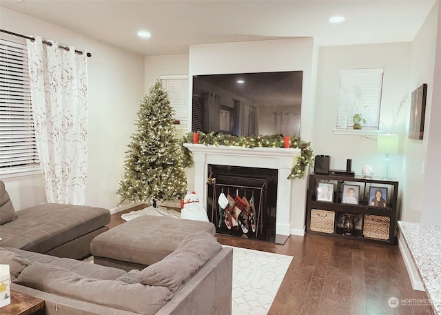 living area with dark hardwood / wood-style floors