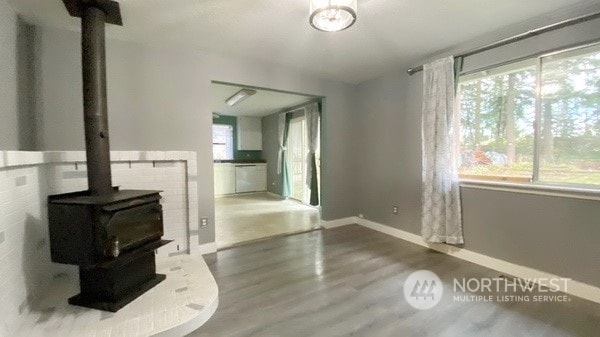 living room with a wood stove and wood-type flooring