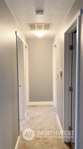 hall with carpet floors and a textured ceiling