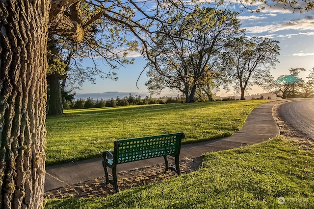 view of property's community featuring a lawn