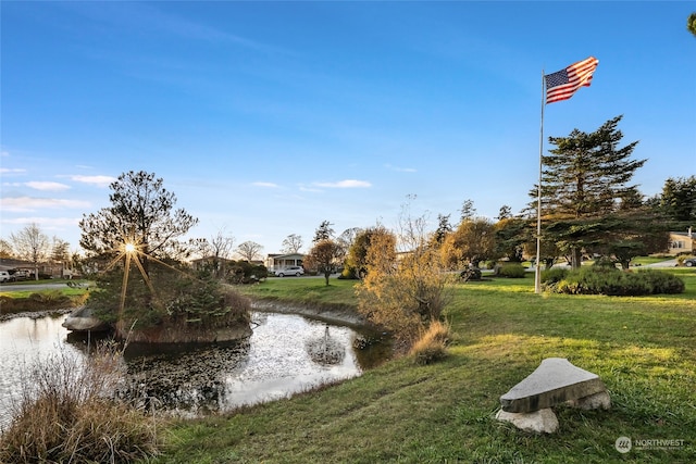 surrounding community with a water view and a lawn