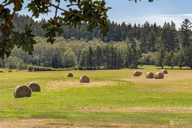 view of community with a rural view