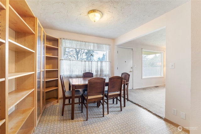 dining room with a textured ceiling