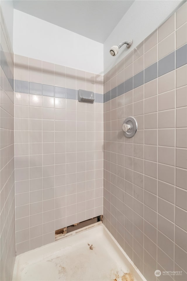 bathroom with tiled shower