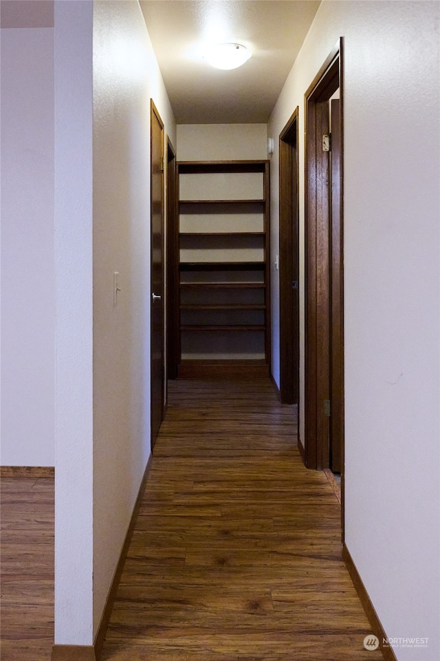 corridor with dark hardwood / wood-style flooring