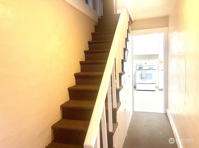 stairs featuring carpet flooring