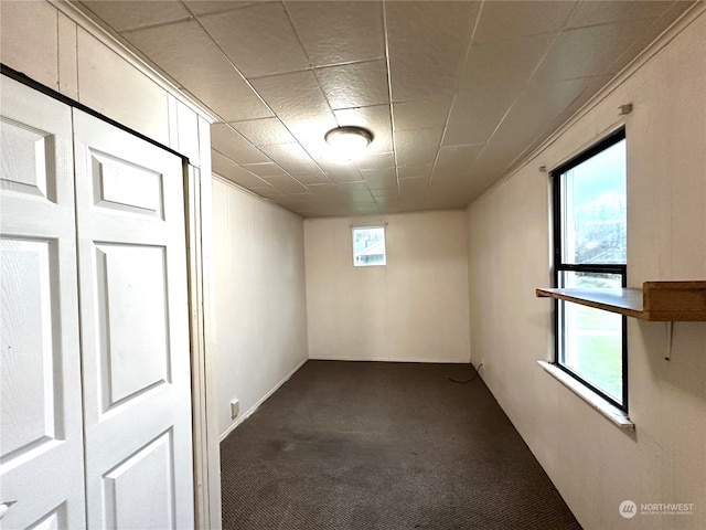 basement featuring carpet floors