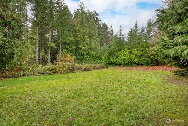 6205 NE Central Valley Rd NE, Bremerton, WA 98311 - view of green lawn featuring a view of trees