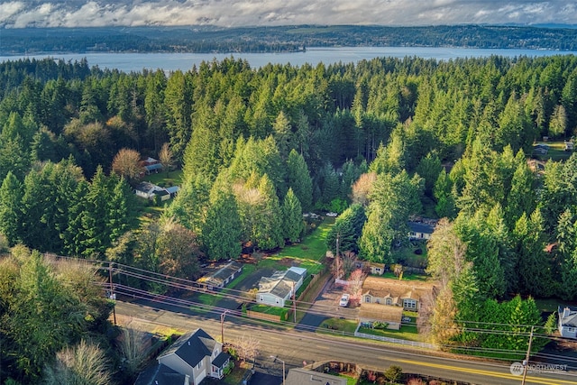 6205 NE Central Valley Rd NE, Bremerton, WA 98311 - aerial view of a forest and a nearby body of water