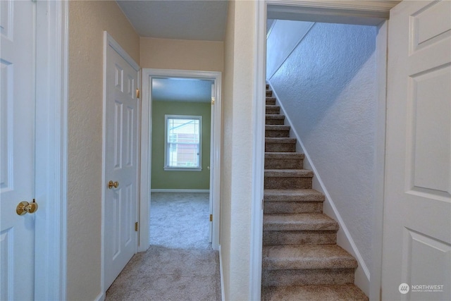 stairway featuring carpet flooring