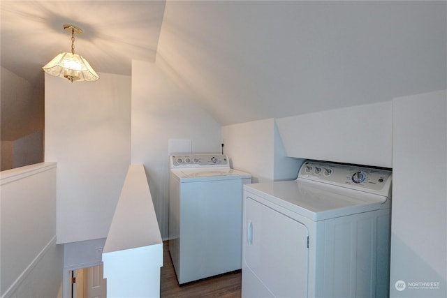 laundry area featuring washing machine and dryer and dark hardwood / wood-style flooring