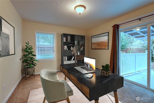 carpeted home office featuring a healthy amount of sunlight and a textured ceiling