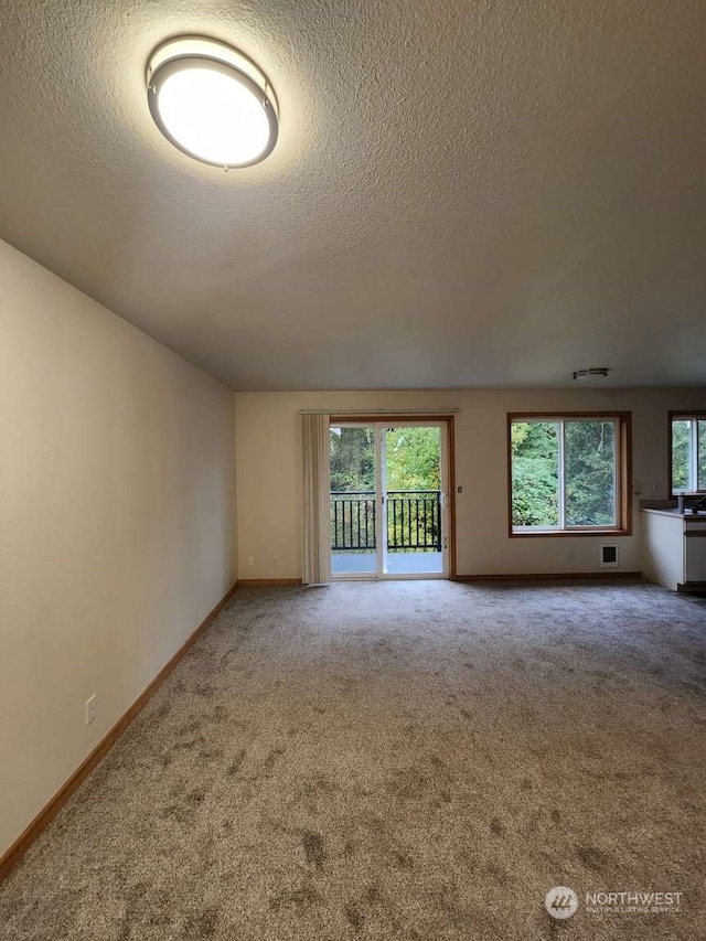 spare room featuring carpet and a textured ceiling