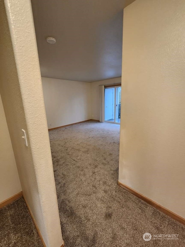 spare room with carpet flooring