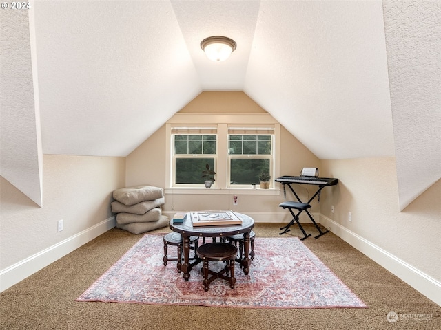 additional living space with lofted ceiling, carpet floors, and a textured ceiling