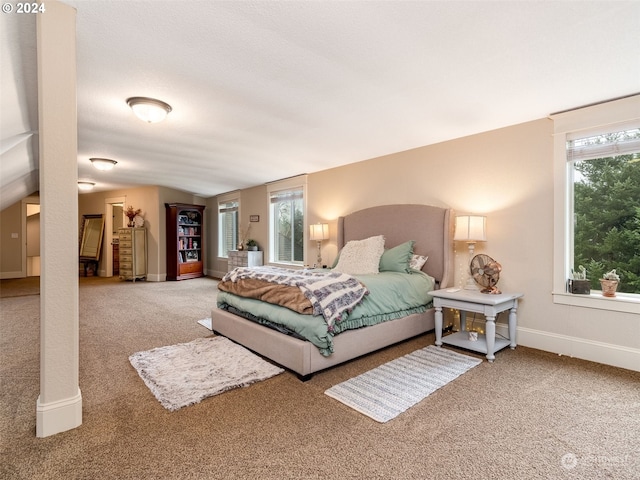 bedroom featuring carpet flooring