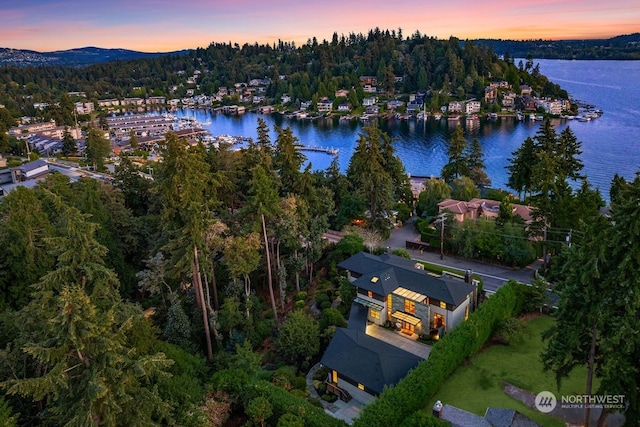 aerial view at dusk featuring a water view